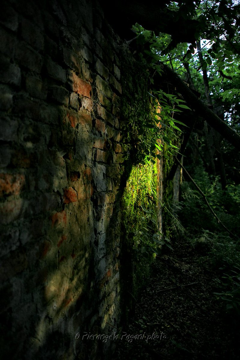 Non si perda la ricerca dei fiori.
Anche nel tempo,non amico.
Abiti una voce il silenzio attuale.
Con garbo un attimo diventi attenzione.
Poi non sò oggi è sabato.