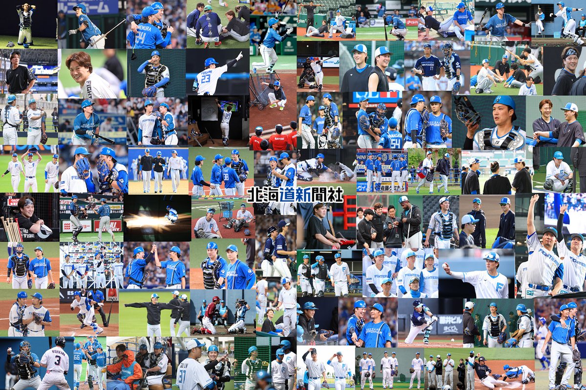 #きょうのトライさん 総集編
#伏見寅威 捕手（千歳市出身）の今季を振り返る写真特集を公開しました。トレード発表翌日の思いも語ってくれました。記事はこちらから▽hokkaido-np.co.jp/article/123870…
#lovefighters