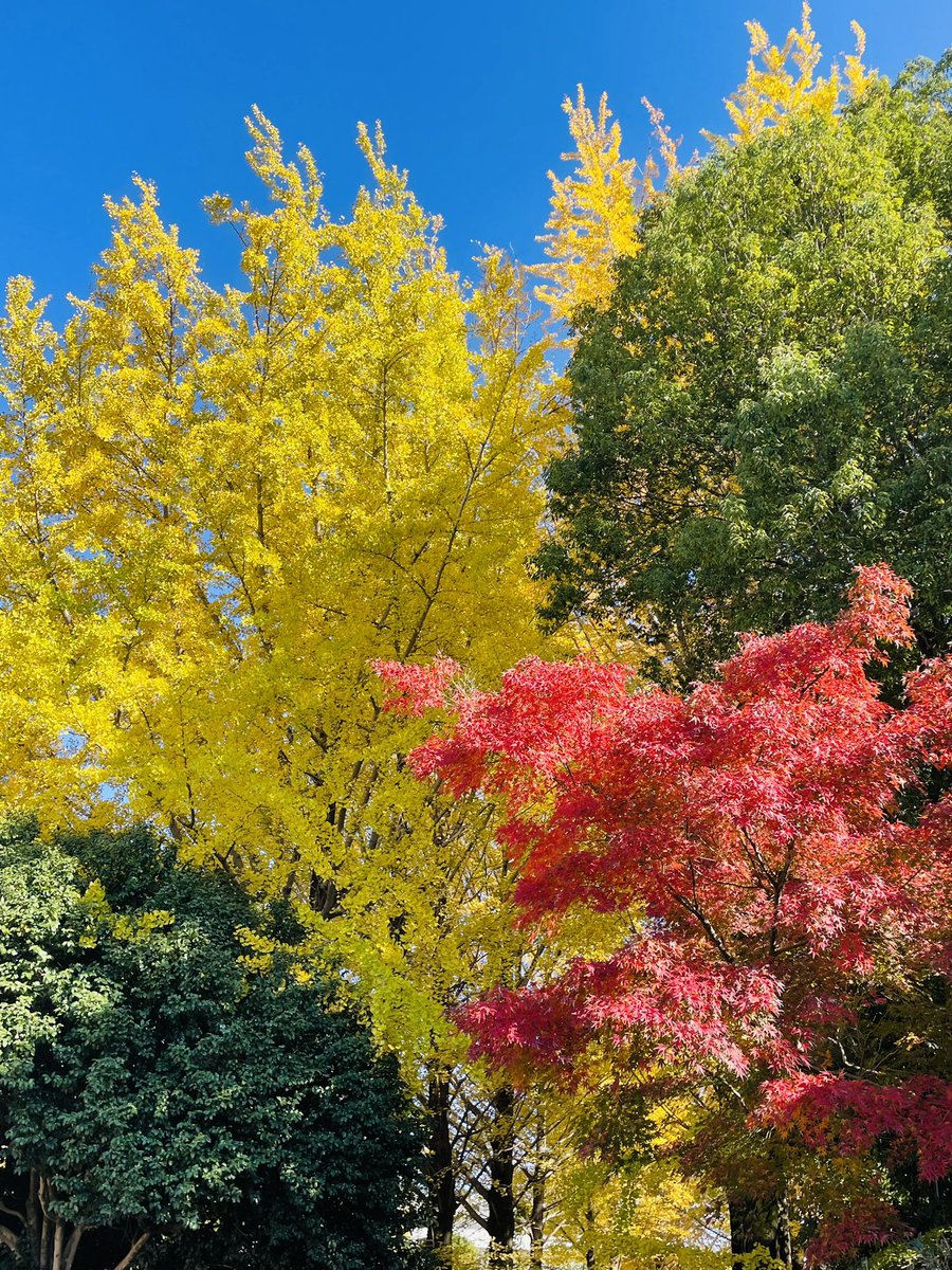 あっこ (@ygbzXZawX5HhrE9) / Posts / X