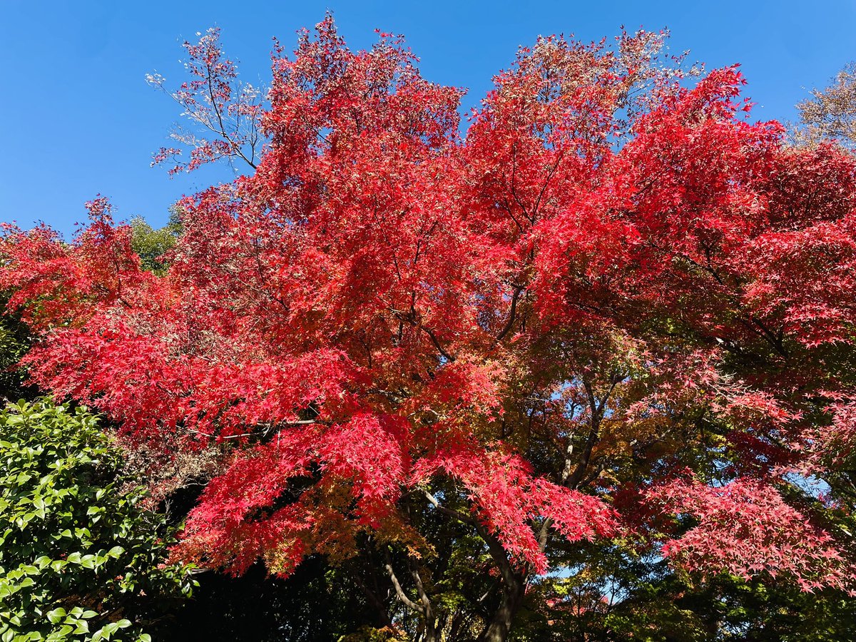 あっこ (@ygbzXZawX5HhrE9) / Posts / X