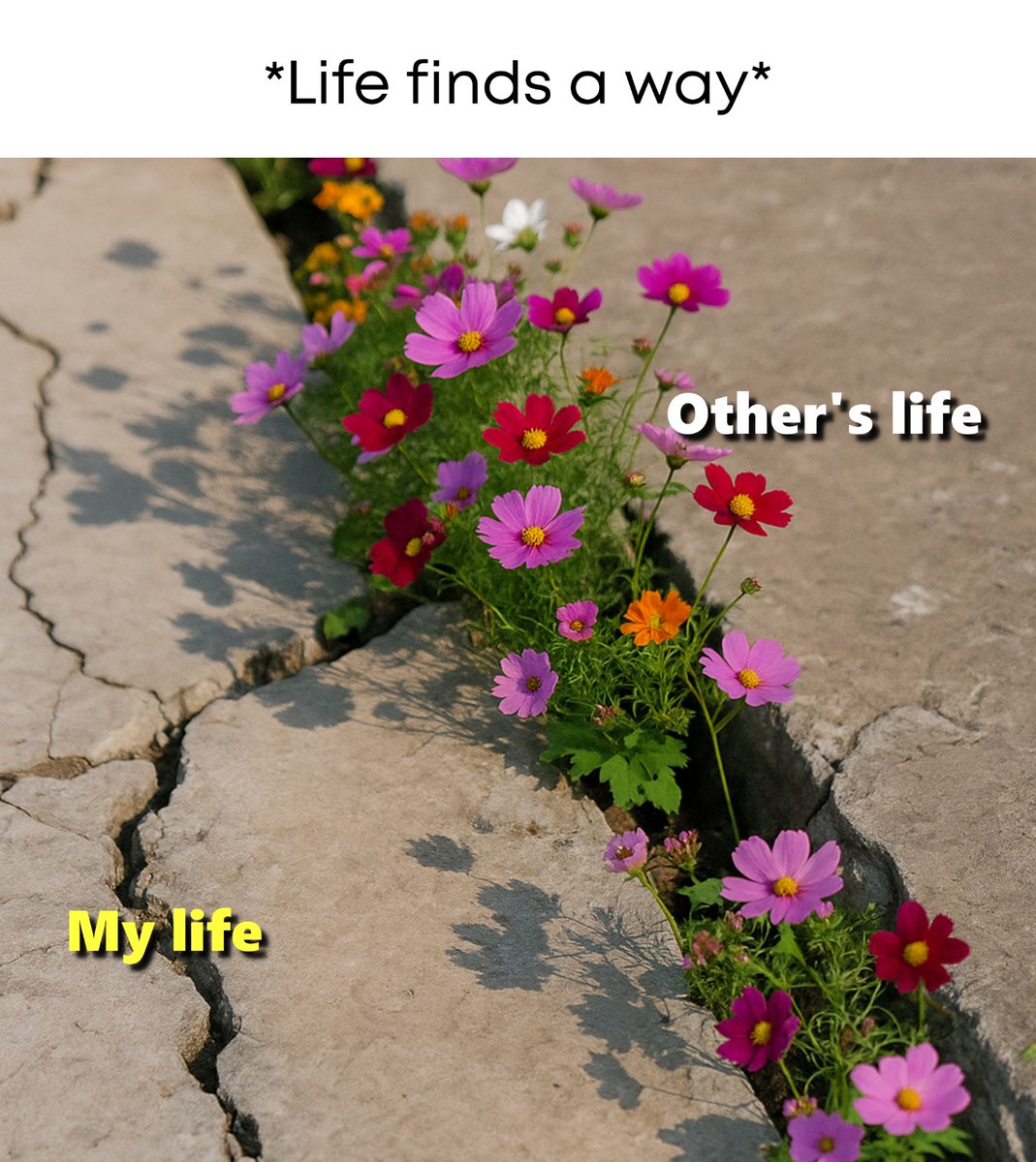 Aryankashap_96's tweet image. #kyalifehmeri