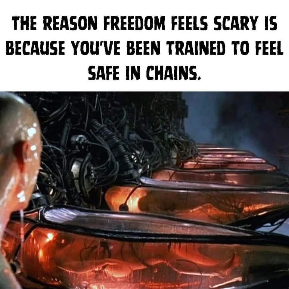 🧬Maxpein🧬 tweet media