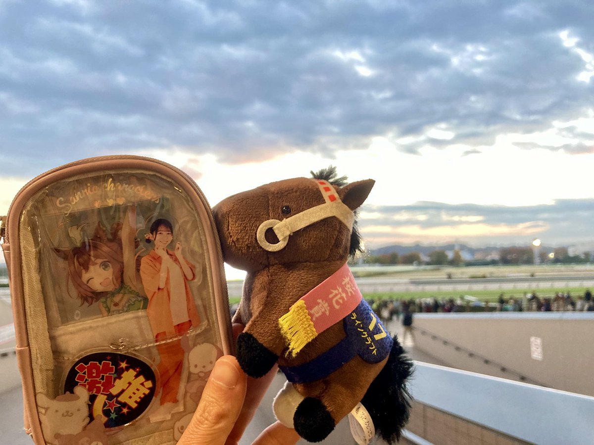 ろーれん🐎🥦 (@lauren_rrf1214) / Posts / X