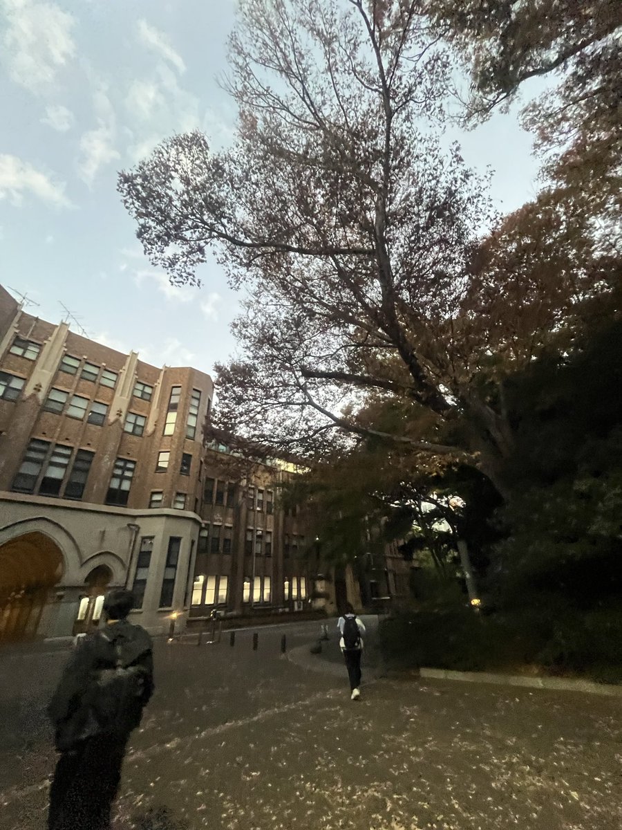 秋の夜の東大一番綺麗