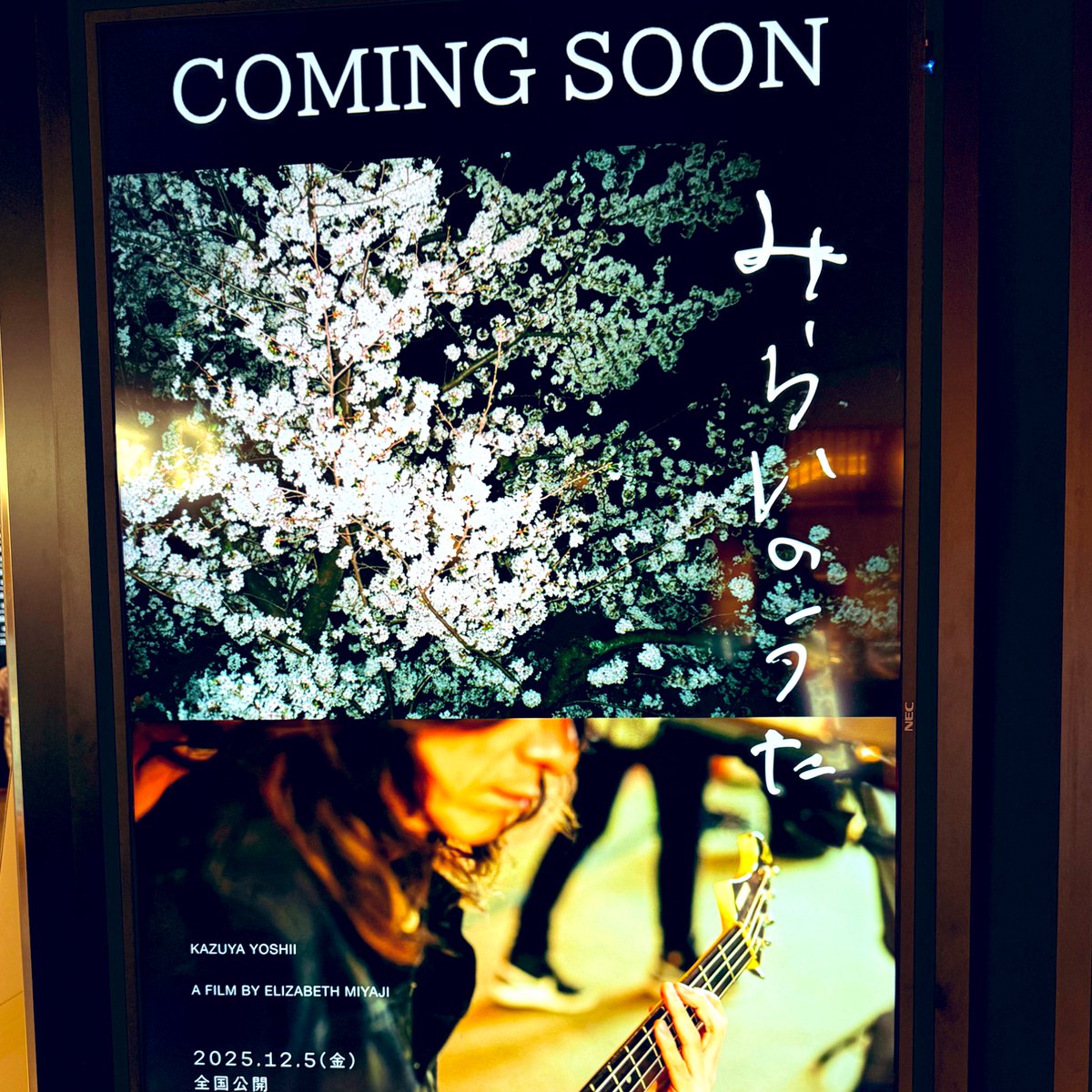 kuwazzz's tweet image. ムビチケとチラシ貰ってきた
#みらいのうた
#吉井和哉