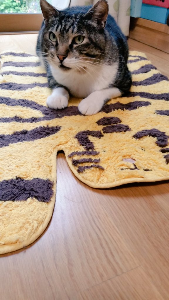 はるるん (@RNPrJ9xfX3PSoaA) / Posts / X