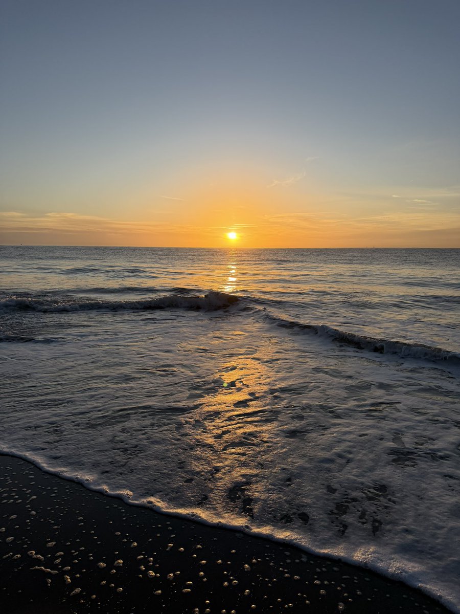 Holly 🐚🧜‍♀️☀️ tweet media