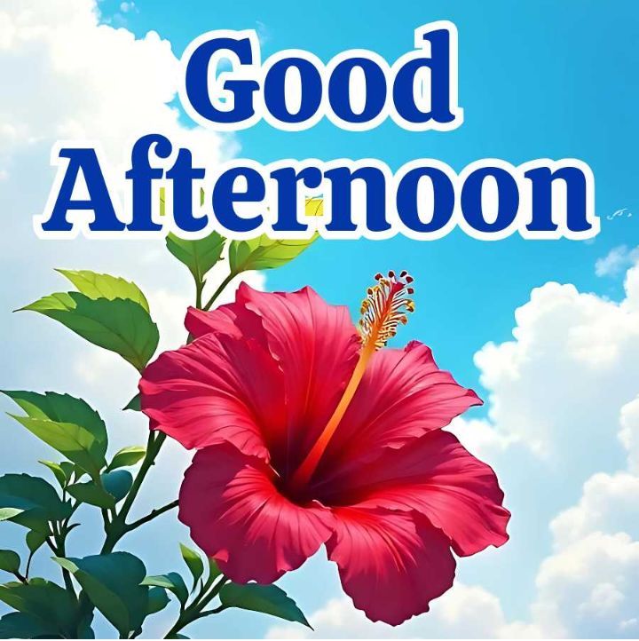 sawan_sing_h's tweet image. जब आप कामयाब हो जाते हैं तब सब आपका वाहवाही करेगा...
जब कामयाब नहीं होंगे तब टुच्चे भी आपके अंदर खामियां ढूंढ आपको कामयाबी का सूत्र बताएंगे..!!!

Good Afternoon X 
Have a good day 

#ElectionResult #BiharElection2025