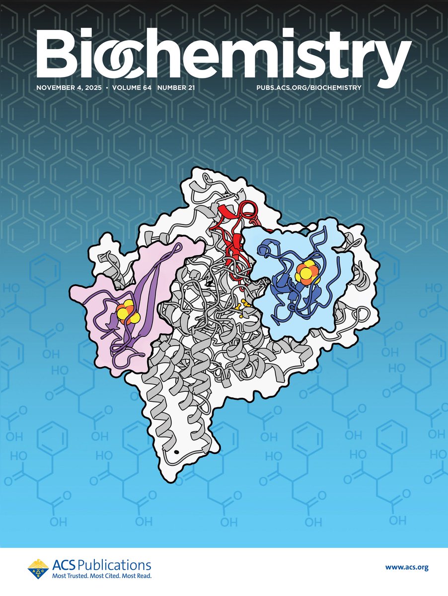 New publication from the Andorfer Lab!
“Accessory Subunit Regulates Thiyl Radical Formation in Benzylsuccinate Synthase” is now out in <a href="/BiochemistryACS/">Biochemistry</a> — and featured on the journal cover. Congrats to Shukurah Anas, Dr. Jian Liu and the entire team!
doi.org/10.1021/acs.bi…