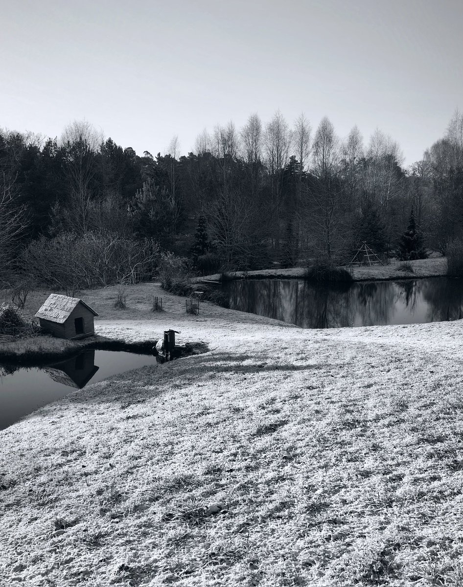 Labrīt, kokiem visas lapas nokritušas . <a href="/boms_tricis/">Toms Bricis</a>