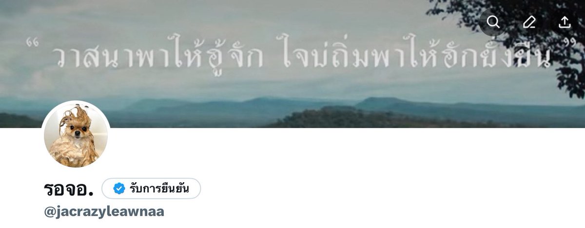 รอจอ tweet media