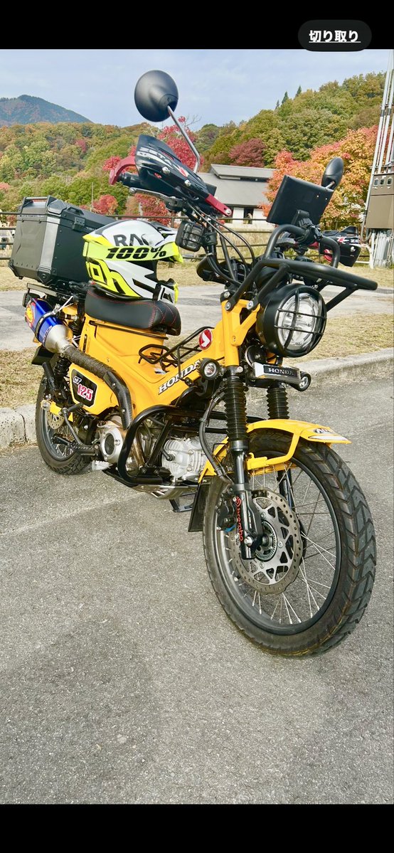 mw5ewSu4lDWKUt4's tweet image. 天気☀️が良かったんで〜大銀杏を見に行きました🍁

#ハンターカブ
#カブ
#紅葉
#ツーリング