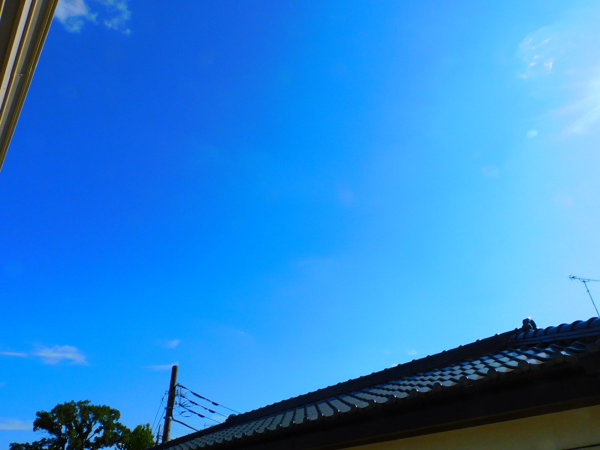 めるめるめー (@melmelmelme3) / Posts / X