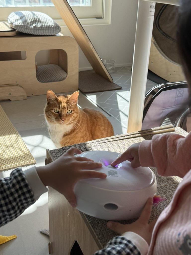 with_mgrk's tweet image. 그걸 왜 너거들이 가지고 노냥