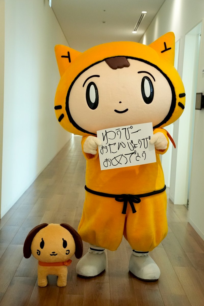 シノビー＠読売テレビ【公式】🍙 tweet media