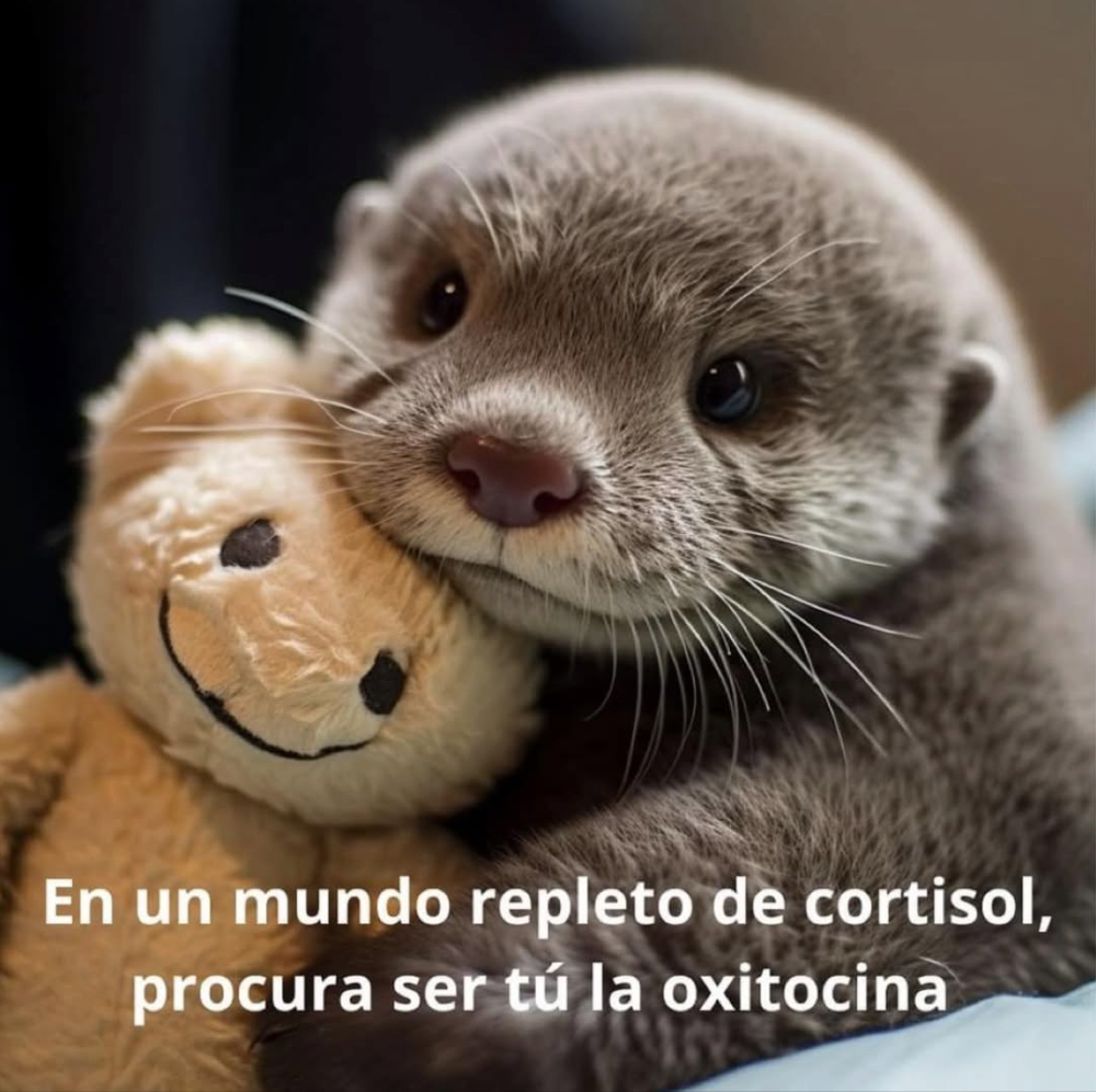 Guarromantico_'s tweet photo. Procura. https://t.co/HHLz39CjQi
