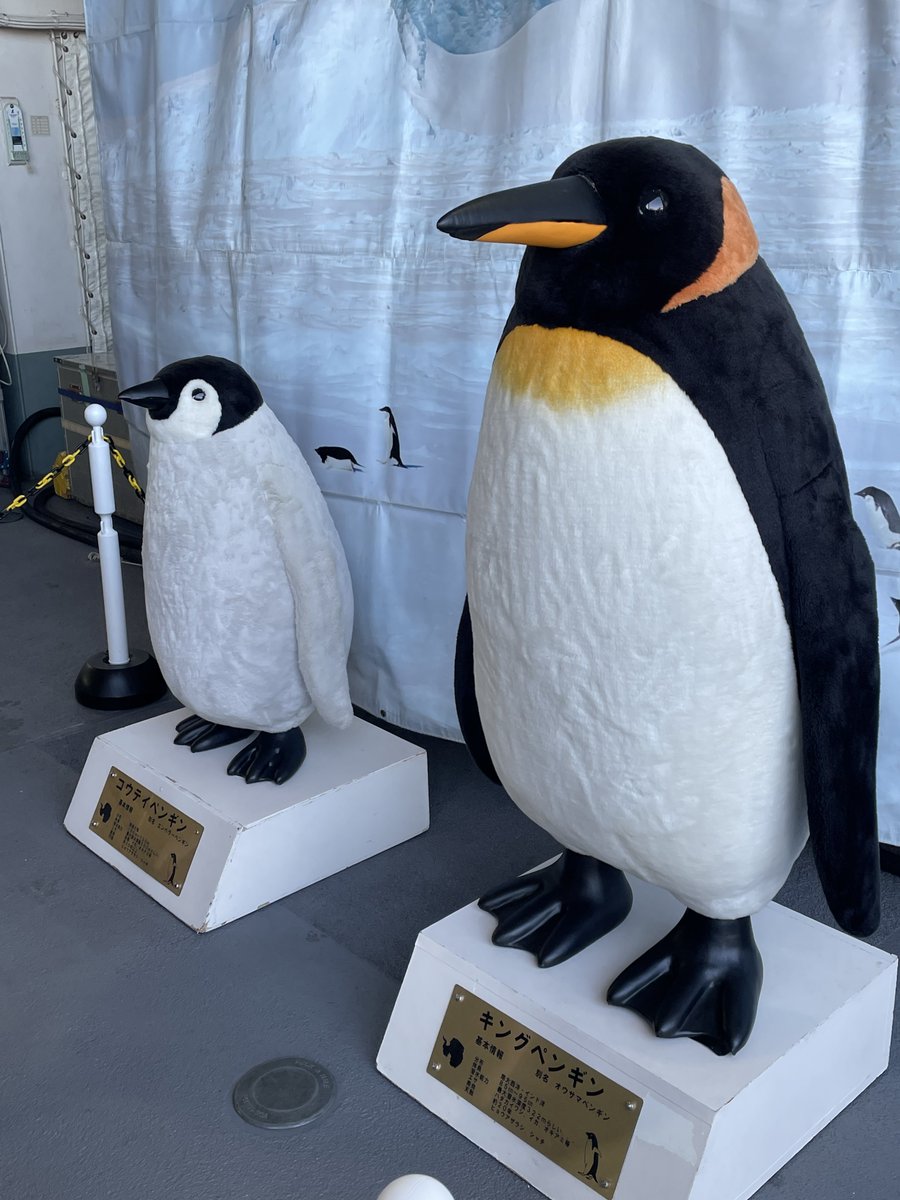 しらせ楽しかった！