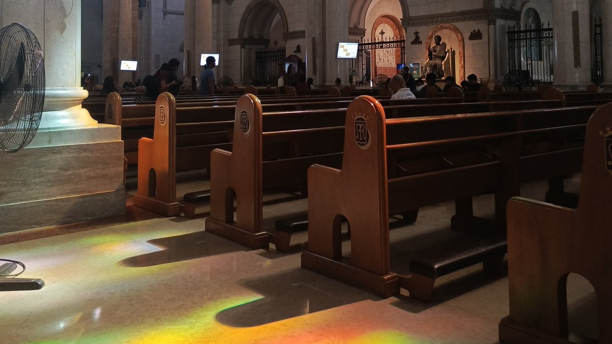 sca studytwt 🌻 ✶ tweet media