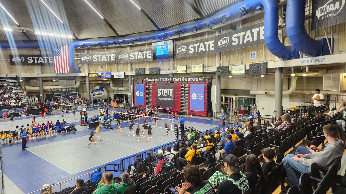 Jordan Nailon tweet media