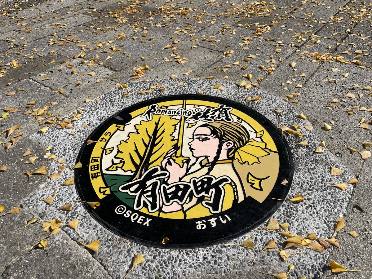 大公孫樹がほぼ見頃となってました！(道路側)
今年は少し早い模様

弁財天神社側はまだ少し黄緑ぎみです！
サラのロマ佐賀マンホールの色に合うのはもう少し先…？

今日もサガファンの方をお見かけして嬉しくなってます💡

#ロマ佐賀