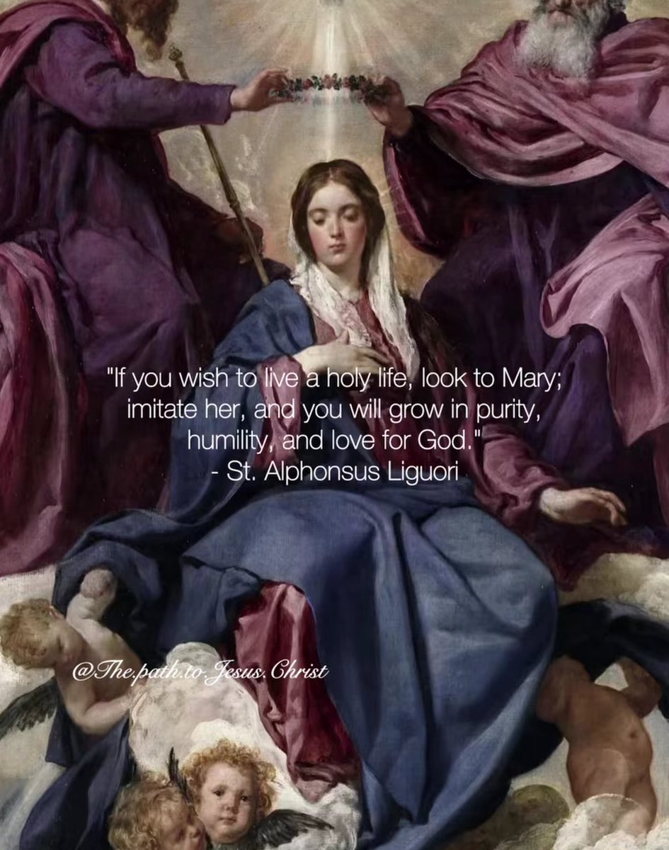 islam fatigue. ✝️🇦🇴🇧🇷🇬🇧 tweet media