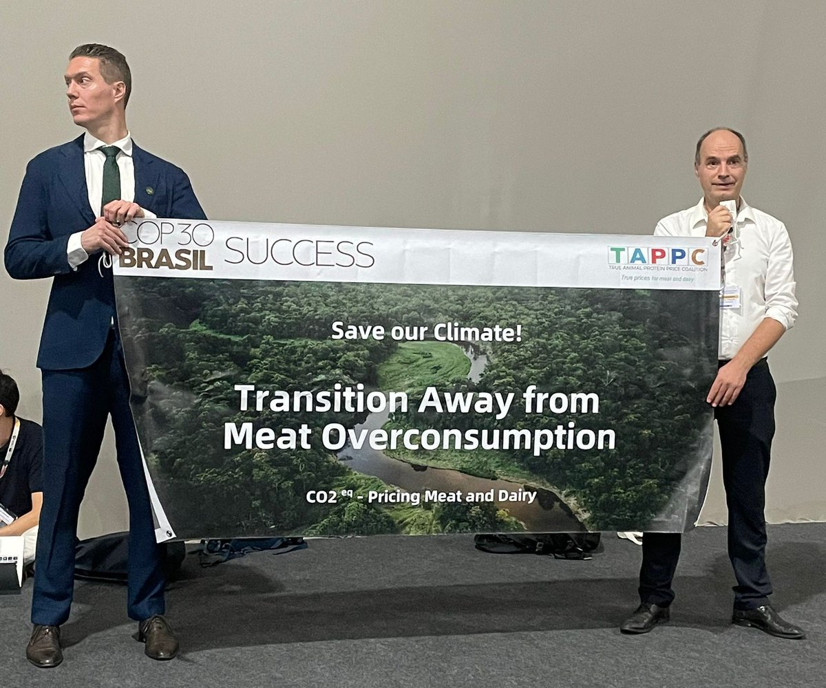 Jeroom Remmers tweet media