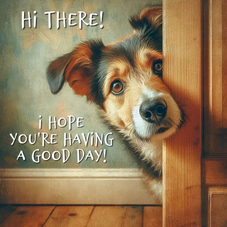 PositivitySaid's tweet image. 