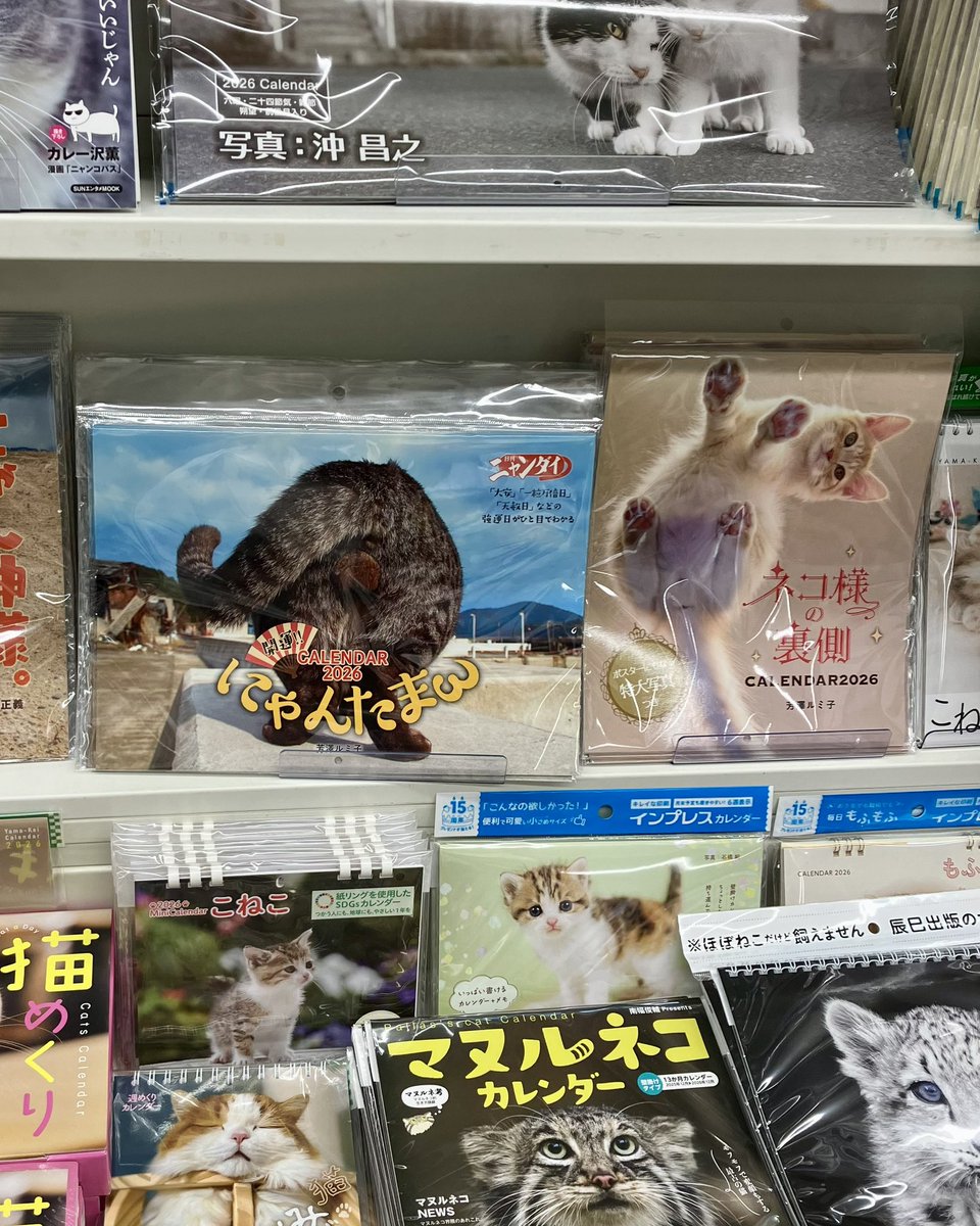 たまにゃん 81Oeaz4+OgL._AC_UF350,