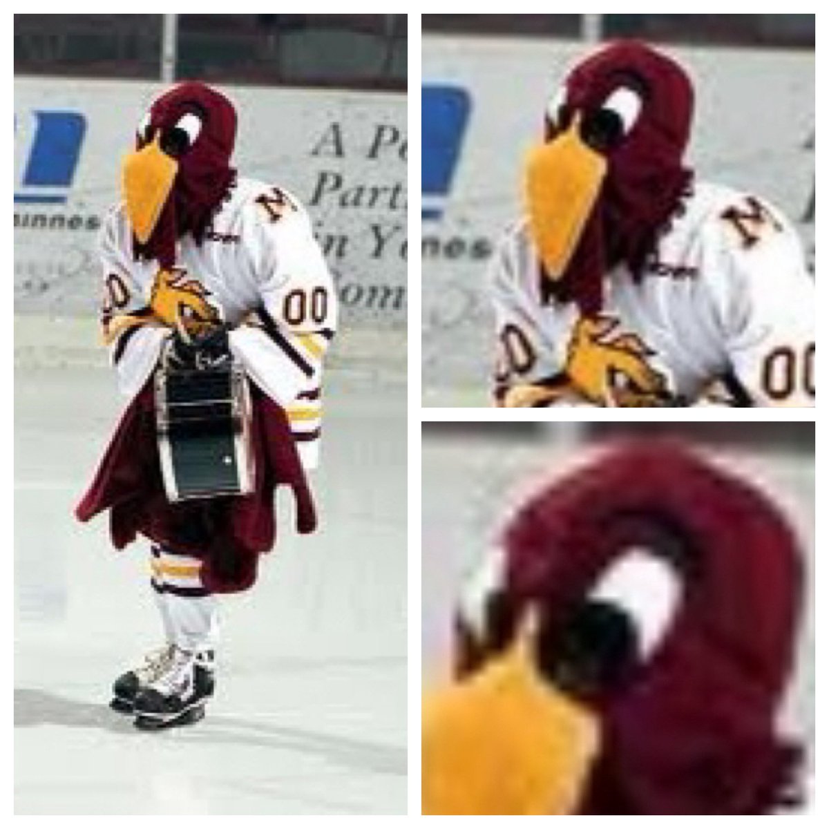 THE UMD BULLDOGS WIN THE HOCKEY GAME WITH THE MAROON LOON BACK IN THE HOUSE! TY HANSON WITH THE HAT TRICK AFTER THE BULLDOG INSIDER BUMP! JOEY PIERCE! CAL ARNOTT! TIMELY SAVES FROM THE NET-MINDER TO SUFFOCATE MOMENTUM! THIS IS A HOCKEY SCHOOL! WE’RE TEARING UP CANAL!