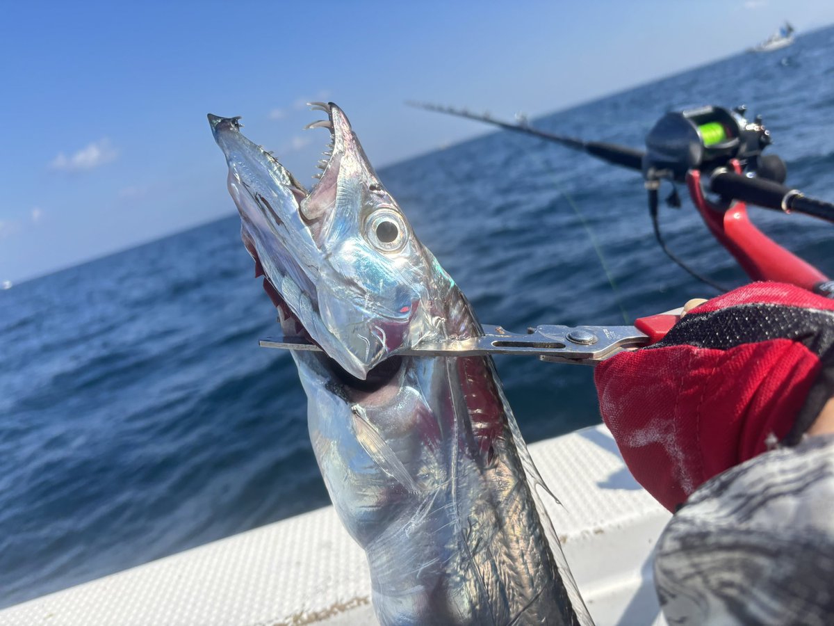 Post by 麦ぽん🦭カプロライダーまん on X: ラストヒット