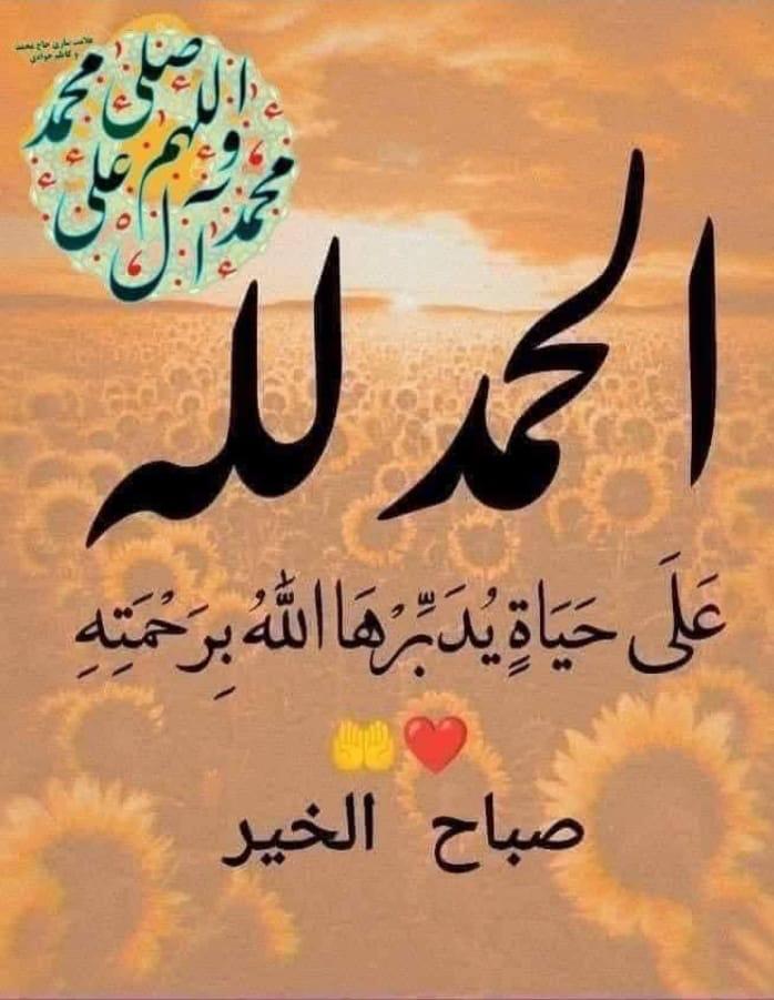 ابو نور (@t9ops2qenit6adp) on Twitter photo 