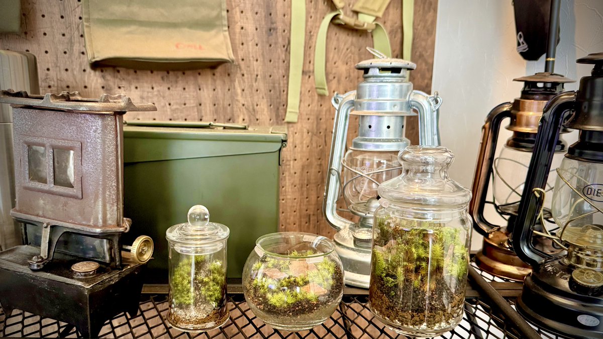 個人的に静かにハマっている苔テラリウム☺️
お世話になっているお店、<a href="/MossCountry/">Moss Country</a> さんが紹介されます✨
このあと北海道ではHTBで13時30分〜、後日TVerでも是非👍

#MossCountry
#苔テラリウム
#苔のある暮らし
#錦鯉が行くのりのり散歩
#HTB
#TVer