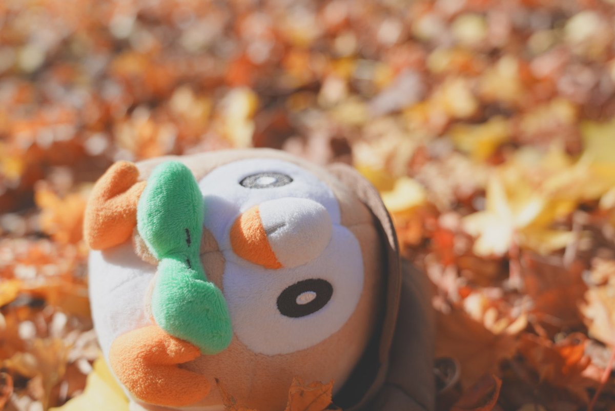 mochiページ mochi (@124mochi) / Posts / X