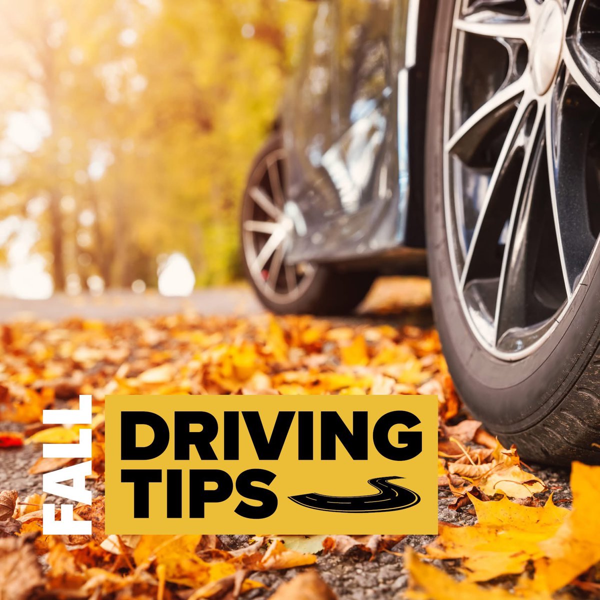 RepWeaknecht's tweet image. PennDOT reminds drivers: fall brings wet leaves, fog, glare, frost, and increased deer activity. Check your lights, wipers, heat, and tire tread—and give yourself extra space on the road. Stay safe! 🍁🚘