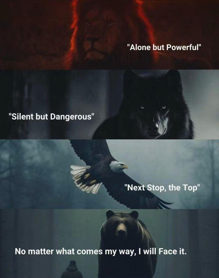 Raajesha GV tweet media