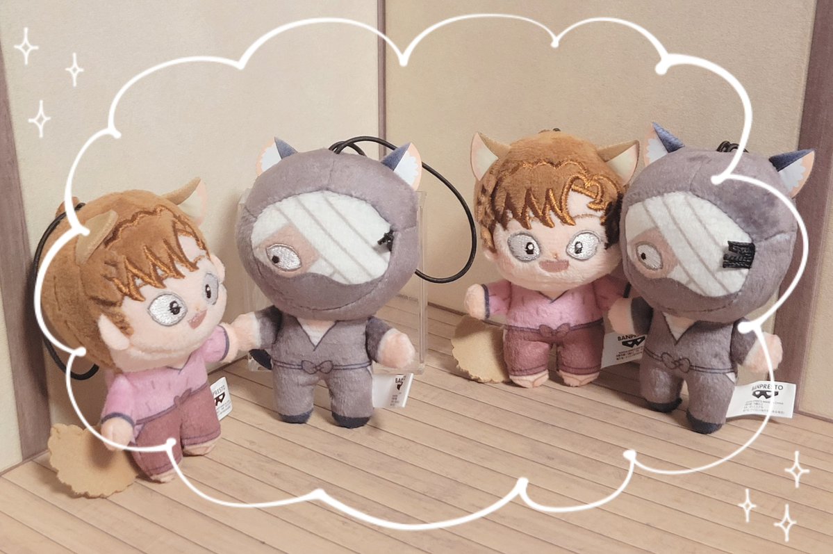 ねこがしらもオンクレ1匹だけだから野がしらを追加で捕獲…やっと会えたね(11月にオンクレから追加でもう1組やってくる)