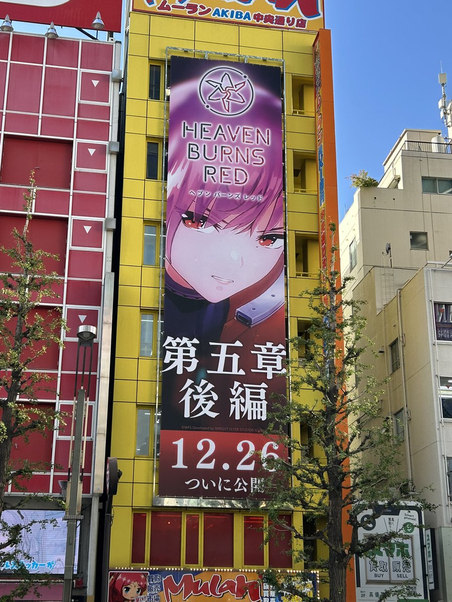 みゃーにゃ🦊⛩ (@myaanya_fox) / Posts / X