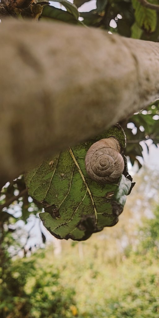 زندگی همیشه بهت یه فرصت میده،
بهش میگن امروز
امروز تون پر از قشنگی

سلام صبح تون بخیر🌹