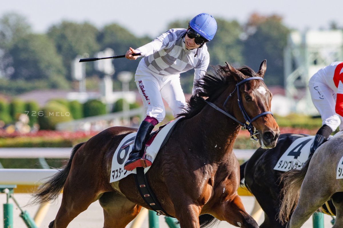 永杜 (@Nagato_umaaka1) / Posts and Replies / X