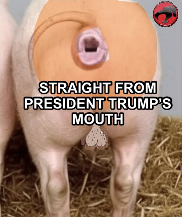 Political Cat Daddy tweet media