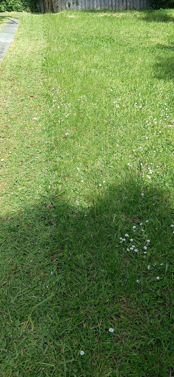 MagicMoshii's tweet image. Guys its hot out here and I&apos;m only half done help