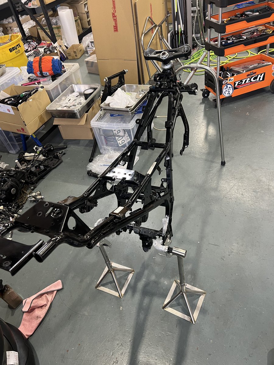 クララが立った‼︎