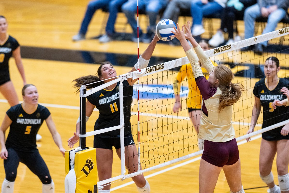 schudel_ralph's tweet image. Ohio Dominican Volleyball (@ohiodominican_vb) captures its 22nd victory of the season and moves to 8-1 inside the confines of Alumni Hall with a 3-0 sweep 🧹 of Walsh on Friday evening.