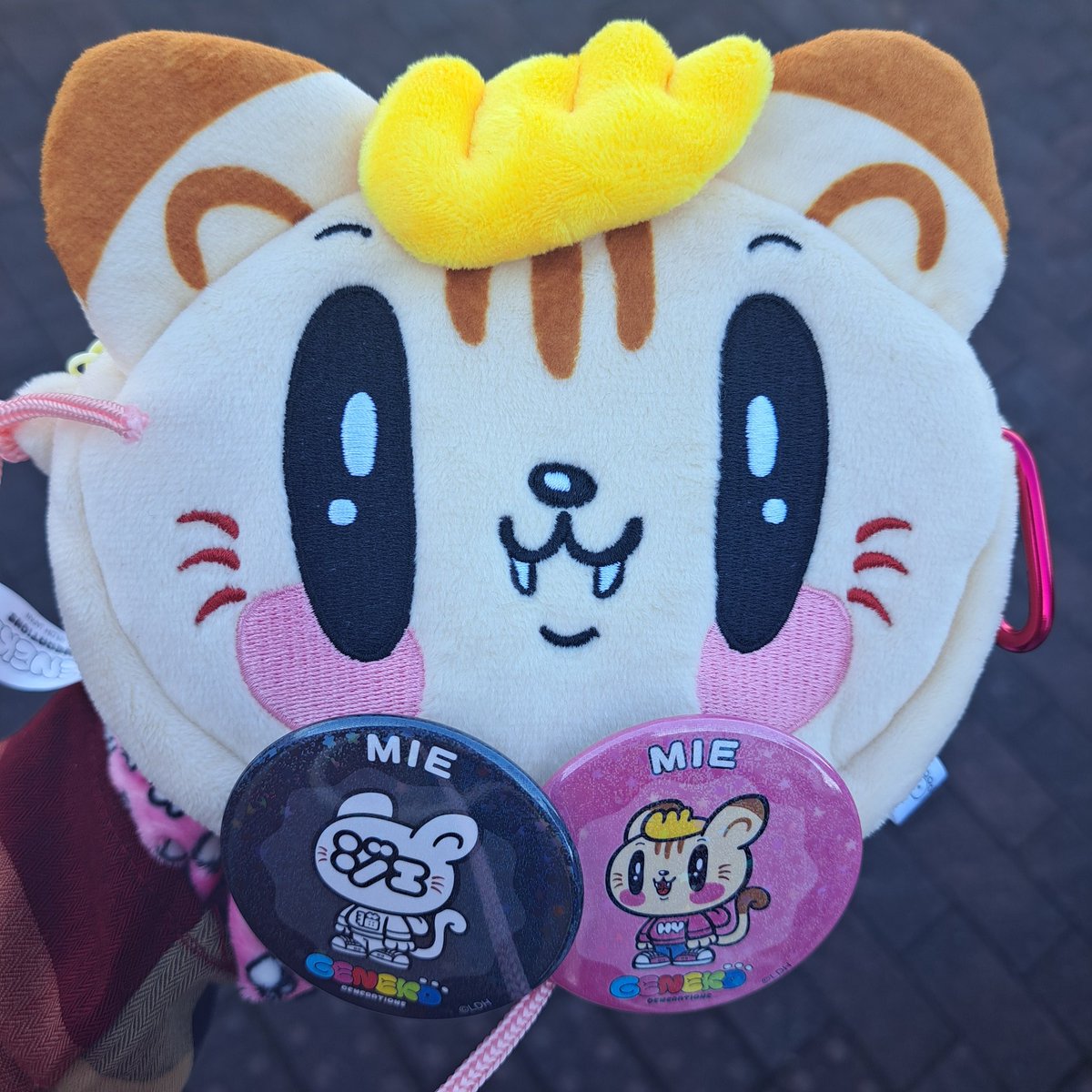 ジェ猫缶バッジ自引き(；；)🩷 レアも🐱 隼くん地元の三重自引きは嬉し