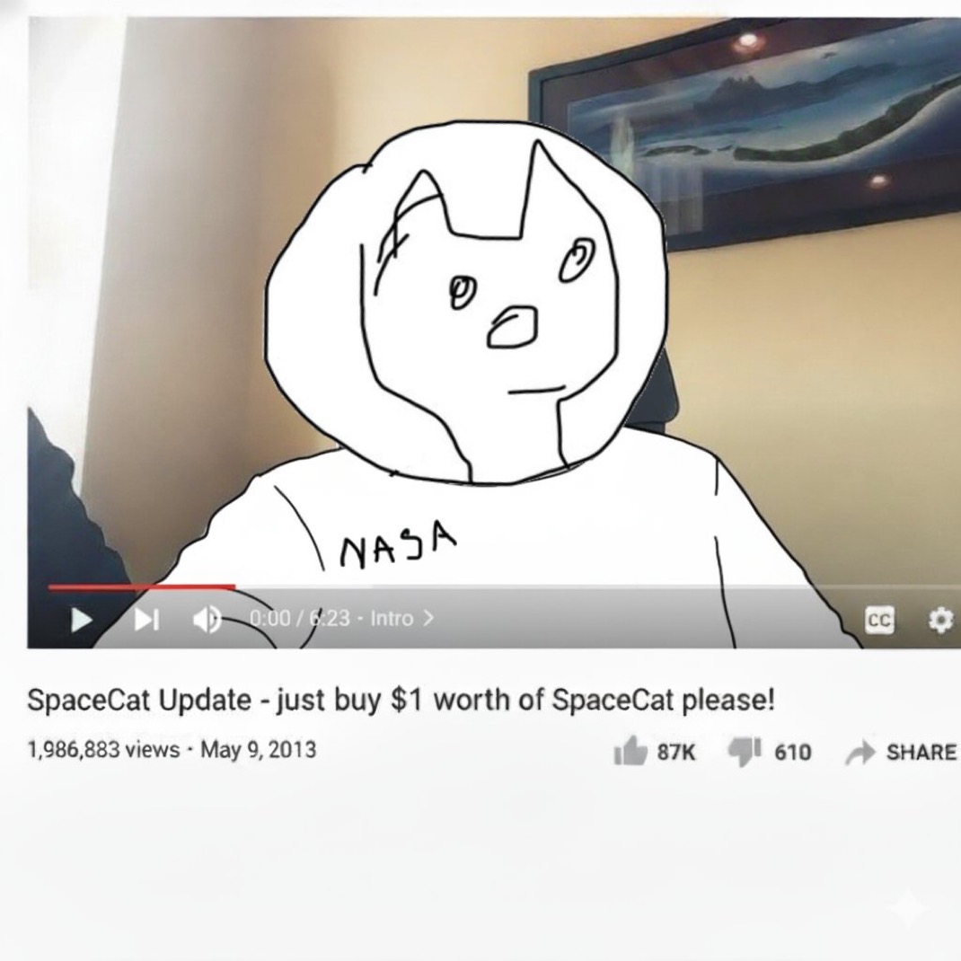 SPACE CAT tweet media
