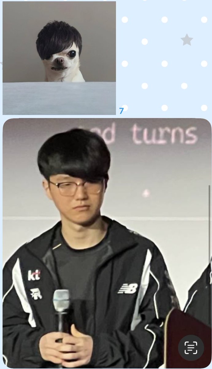 정서불안송충이 tweet media