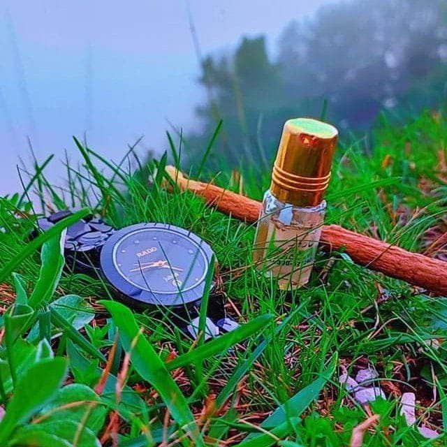 hq_prst8051's tweet image. #Prophetic #Pearls  
Narrated by Aisha (may Allah be pleased with her), the #Messenger of #Allah (peace be upon him) said:  
*“The most complete in faith among the believers is the one with the best character and who is kindest to his family.”*  
(Reported by Al-#Bayhaqi)