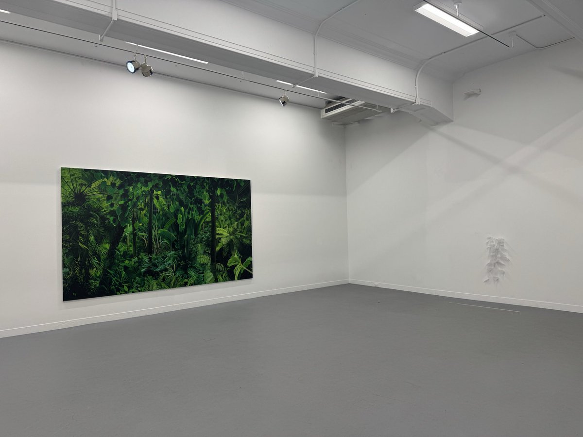 長谷川 由貴 (@sleepingplanet) / Posts / X