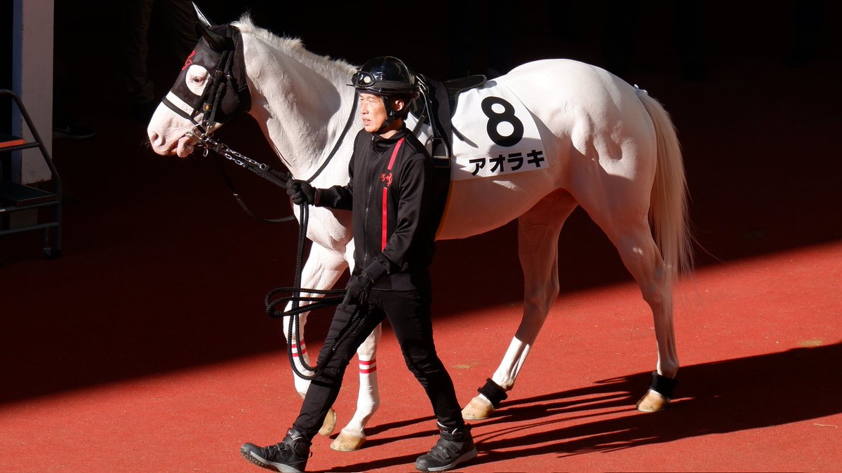 紗兎𖡿ソダシちゃん🦄ずっと大好き🩷 (@Sds2451) / Posts / X