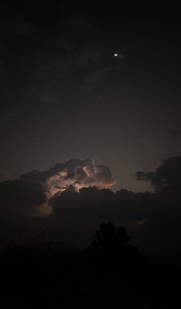 عشوائية صباحيّة ⚡️🤎🤎
هذي بعد الامطار، اللي صحّاني الفجر صوت حبات البرد :)